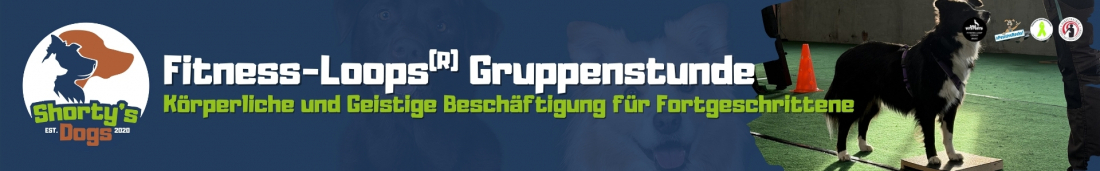 Fitness-Loops Gruppenstunde