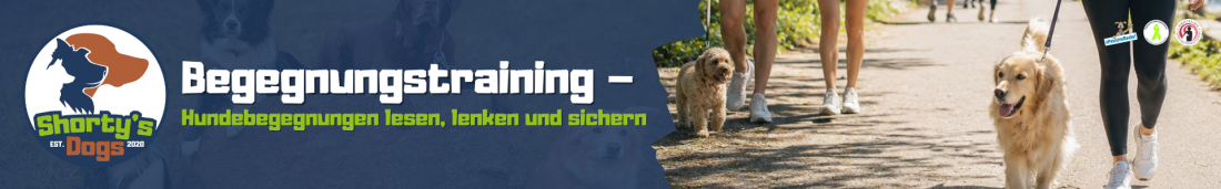 Workshop - Begegnungstraining – Hundebegegnungen lesen, lenken und sichern